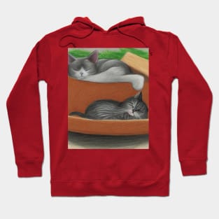 2 cats having a nap Hoodie